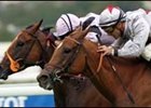 Satwa Queen Repeats in Prix Jean Romanet Satwa Queen Repeats in Prix Jean Romanet