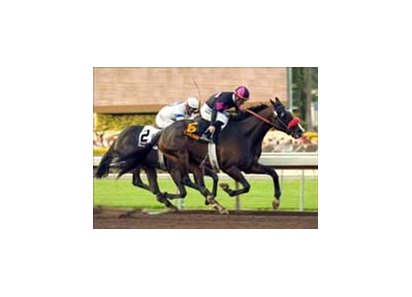 Lava Man and Corey Nakatani, outside, hold off Magnum to win the Santa Anita Handicap.