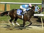 Local Horse Cherokee's Boy Added to Preakness Probables Local Horse Cherokee's Boy Added to Preakness Probables