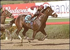 Tizdubai Out For Year With Condylar Fracture Tizdubai Out For Year With Condylar Fracture
