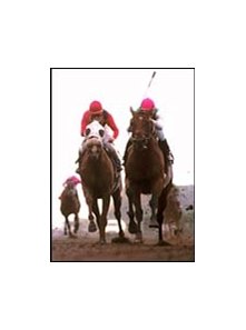 Skimming, ridden by Garrett Gomez, holds off Futural, left, ridden by Chris McCarron, to win the Grade II San Diego Handicap, Sunday, July 29, 2001, at Del Mar Race Track in Del Mar, Calif. (AP Photo/Benoit Photo)