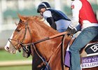 Shackleford at Churchill Downs.
<br><a target="blank" href="http://www.bloodhorse.com/horse-racing/photo-store?ref=http%3A%2F%2Fpictopia.com%2Fperl%2Fgal%3Fprovider_id%3D368%26ptp_photo_id%3D9724735%26ref%3Dstory">Order This Photo</a>