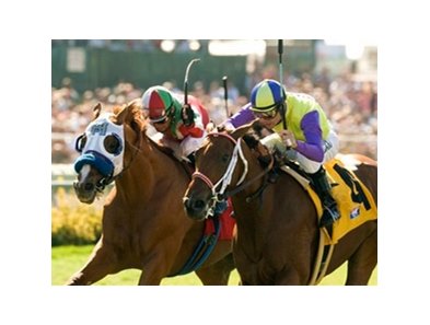 Rendezvous outlasted Battle of Hastings to win the Del Mar Derby at Del Mar.<br><a target="blank" href="http://www.bloodhorse.com/horse-racing/photo-store?ref=http%3A%2F%2Fpictopia.com%2Fperl%2Fgal%3Fprovider_id%3D368%26ptp_photo_id%3D8461200%26ref%3Dstory">Order This Photo</a>