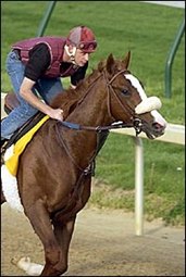 Borrego Acclimates to Churchill Downs With Monday Workout Borrego Acclimates to Churchill Downs With Monday Workout