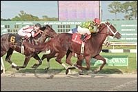 Kentucky Derby Trail: Baffert and Zito on Collision Course Kentucky Derby Trail: Baffert and Zito on Collision Course