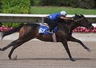 Colt, Sky Mesa - Secondary School by Honor Grades works an 1/8 of a mile in :9 4/5.