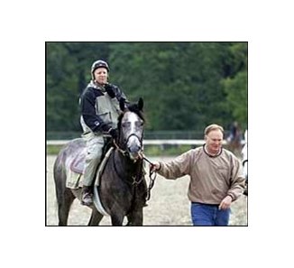 Jody Pieper sits atop Belmont Stakes entrant Steppenwolfer as they walk with trainer Daniel Peitz during a Thursday morning workout at Belmont Park.