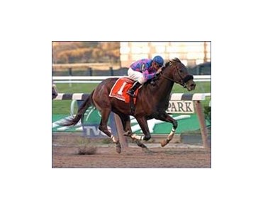 Organizer takes the Empire Classic, Saturday at Belmont Park.<br><a target="blank" href="http://www.bloodhorse.com/horse-racing/photo-store?ref=http%3A%2F%2Fpictopia.com%2Fperl%2Fgal%3Fprocess%3Dgallery%26gallery_id%3D6823%26provider_id%3D368%26ptp_photo_id%3D612124%3D">Order This Photo</a>