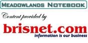 Meadowlands Notebook: Stormy Ray Okay After Scratch Meadowlands Notebook: Stormy Ray Okay After Scratch