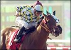 Best Pal winner Salute the Sarge faces Del Mar dozen on the fifth.<br><a target="blank" href="http://www.bloodhorse.com/horse-racing/photo-store?ref=http%3A%2F%2Fpictopia.com%2Fperl%2Fgal%3Fprovider_id%3D368%26ptp_photo_id%3D1990378%26ref%3Dstory">Order This Photo</a>