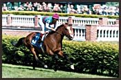 Manhattan Tops Belmont Day Undercard; Post Positions for Each Stake Manhattan Tops Belmont Day Undercard; Post Positions for Each Stake