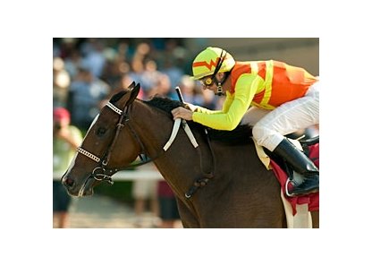 Nashoba's Key was named California-bred Horse of the Year.<br><a target="_blank" href="http://www.bloodhorse.com/horse-racing/photo-store?ref=http%3A%2F%2Fpictopia.com%2Fperl%2Fgal%3Fprovider_id%3D368%26ptp_photo_id%3D3370637%26ref%3Dstory">Order This Photo</a>