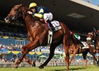 Bridgetown won the Summer Stakes at Woodbine in September.