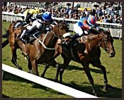 Johannesburg Upset By Filly in Gladness Stakes Johannesburg Upset By Filly in Gladness Stakes