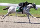 Major Changes Announced for 2YO Sales Major Changes Announced for 2YO Sales