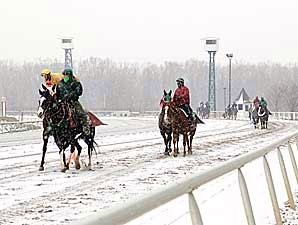 Inclement Weather Halts Live Races Inclement Weather Halts Live Races