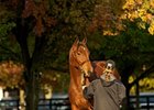 Fasig-Tipton Sale