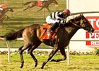 Champ Pegasus in the Del Mar Handicap.