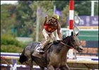 From last to first for Midnight Lute in the Breeders' Cup Sprint.<br><a target="blank" href="http://www.bloodhorse.com/horse-racing/photo-store?ref=http%3A%2F%2Fpictopia.com%2Fperl%2Fgal%3Fprovider_id%3D368%26ptp_photo_id%3D2626447%26ref%3Dstory">Order This Photo</a>