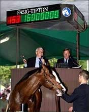 Record-Priced Forestry Colt Named The Green Monkey Record-Priced Forestry Colt Named The Green Monkey