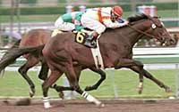Millennium Wind Breezes Rapidly at Keeneland Millennium Wind Breezes Rapidly at Keeneland