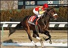 Maddy's Lion Roars to Victory in Jimmy Winkfield Stakes Maddy's Lion Roars to Victory in Jimmy Winkfield Stakes