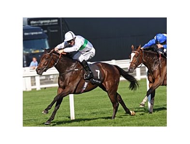 Rainbow View dominates the Meon Valley Stud Fillies' Mile at Ascot.