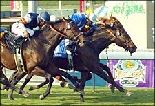 Musical Chimes 1st Filly to Win Oak Tree Mile Musical Chimes 1st Filly to Win Oak Tree Mile