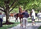F-T July Expected to Continue Market Upswing F-T July Expected to Continue Market Upswing