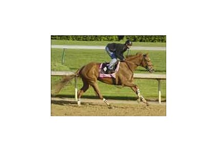 Kentucky Oaks hopeful Ermine works Thursday and waits for the draw.