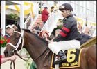 Adena Springs Reduction of Breeding Stock Set for November Adena Springs Reduction of Breeding Stock Set for November