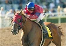 Molengao's Super Footwork Wins San Antonio Molengao's Super Footwork Wins San Antonio