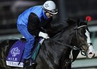 Courageous Cat
<br><a target="blank" href="http://www.bloodhorse.com/horse-racing/photo-store?ref=http%3A%2F%2Fpictopia.com%2Fperl%2Fgal%3Fprovider_id%3D368%26ptp_photo_id%3D9723025%26ref%3Dstory">Order This Photo</a>