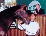 Storm Creek Colt Sets OBSC Record Storm Creek Colt Sets OBSC Record