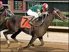 'Dandy' of a Win in Rich West Virginia Derby 'Dandy' of a Win in Rich West Virginia Derby
