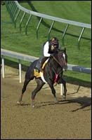 Steve Haskin's Derby Report: Fleet Four Fly Five Furlongs Steve Haskin's Derby Report: Fleet Four Fly Five Furlongs