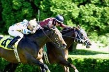 Brazilian Champ Happy to Be Buckeye for a Day Brazilian Champ Happy to Be Buckeye for a Day