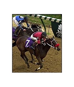 Acorn hopeful Caressing, winning the Breeders' Cup Juvenile Fillies.