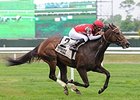 Celestine has won 4 straight races.<br><a target="blank" href="http://photos.bloodhorse.com/AtTheRaces-1/At-the-Races-2015/i-Q2BZCD8">Order This Photo</a>