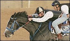 Rockport Harbor Works; Heading to Lexington Stakes Rockport Harbor Works; Heading to Lexington Stakes