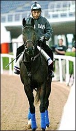 Cajun Beat Impresses in Golden Shaheen Workout Cajun Beat Impresses in Golden Shaheen Workout
