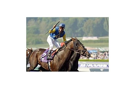 Dubai World Cup nominees Pleasantly Perfect and Medaglia d'Oro, finishing first and second in the Breeders' Cup Classic.
