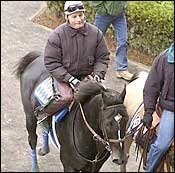 War Emblem Schools at the Gate; Came Home Jogs War Emblem Schools at the Gate; Came Home Jogs