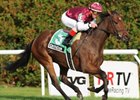 Criticism repeats in the Long Island Handicap over a yielding turf course at Aqueduct.<br><a target="blank" href="http://www.bloodhorse.com/horse-racing/photo-store?ref=http%3A%2F%2Fpictopia.com%2Fperl%2Fgal%3Fprovider_id%3D368%26ptp_photo_id%3D8593556%26ref%3Dstory">Order This Photo</a>