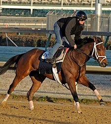 Pletcher Works Five BC Hopefuls at Churchill Pletcher Works Five BC Hopefuls at Churchill