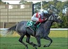 Criminologist rolls to her third straight victory with this Athenia Handicap (gr. IIT) win.<br><a target="blank" href="http://www.bloodhorse.com/horse-racing/photo-store?ref=http%3A%2F%2Fpictopia.com%2Fperl%2Fgal%3Fprovider_id%3D368%26ptp_photo_id%3D2509944%26ref%3Dstory">Order This Photo</a>