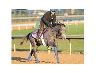 Hard Not to Like<br><a target="blank" href="http://www.bloodhorse.com/horse-racing/photo-store?ref=http%3A%2F%2Fpictopia.com%2Fperl%2Fgal%3Fprovider_id%3D368%26ptp_photo_id%3D9727933%26ref%3Dstory">Order This Photo</a>