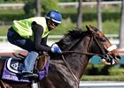 Colonel John will stand at WinStar Farm.<br><a target="blank" href="http://www.bloodhorse.com/horse-racing/photo-store?ref=http%3A%2F%2Fpictopia.com%2Fperl%2Fgal%3Fprovider_id%3D368%26ptp_photo_id%3D8620404%26ref%3Dstory">Order This Photo</a>