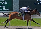 Keeneland April Sale: Horses to Watch Keeneland April Sale: Horses to Watch