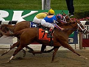 Belmont Park Set for 59-Day Meet Belmont Park Set for 59-Day Meet